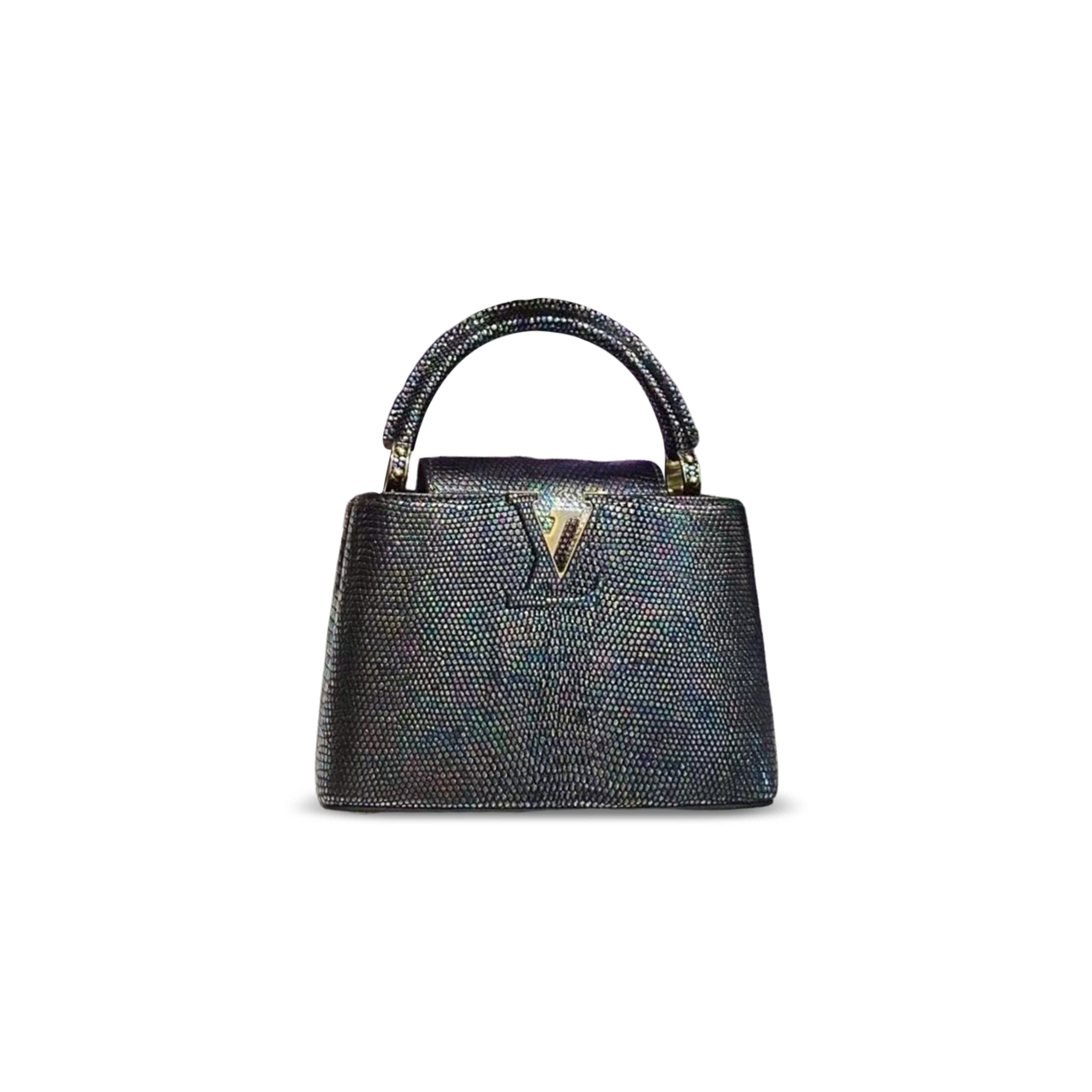 LOUIS VUITTON MASTER CAPUCINES MINI (21*14*8cm)
